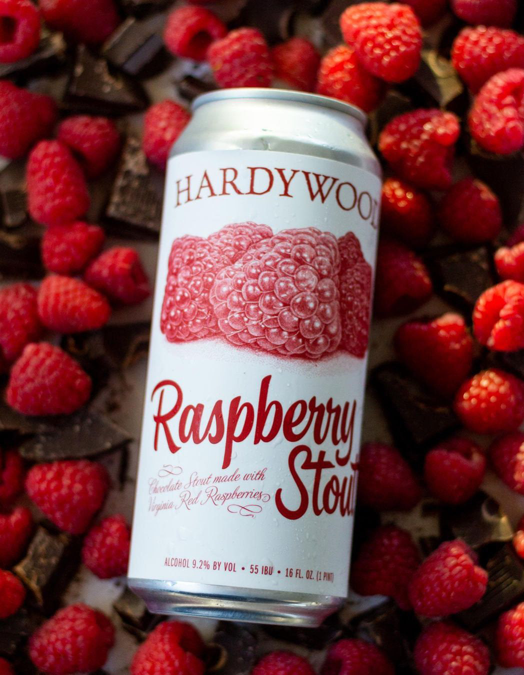 Raspberry Stout